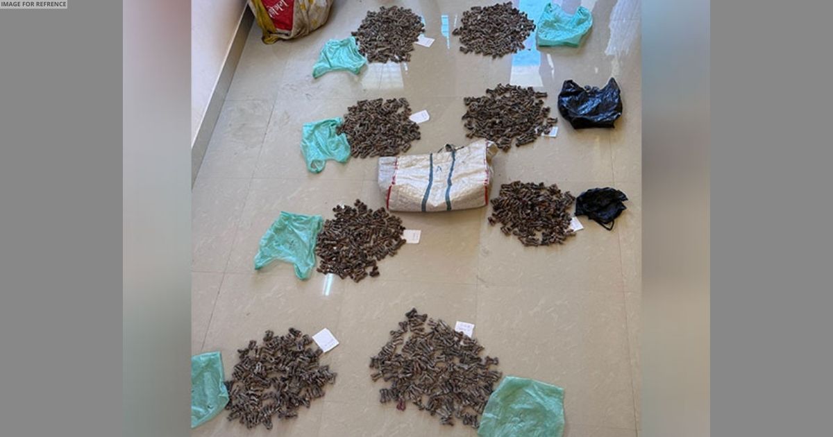 DRI seizes 781 Bengal Monitor Lizard Hemipenes, 19.6 kg soft corals near Nashik
